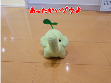 エコファント3