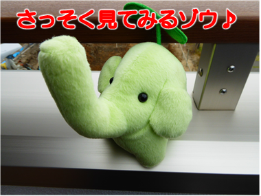エコファント4