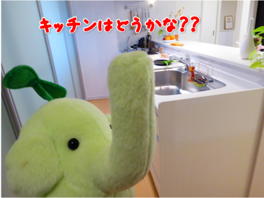 エコファント4