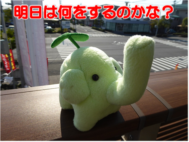 エコファント5