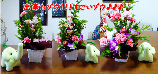 エコファント5