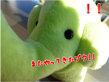 エコファント5