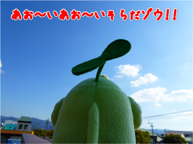 エコファント6