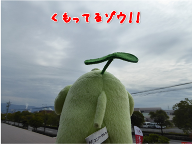 エコファント6