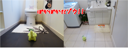 エコファント6