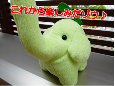エコファント7