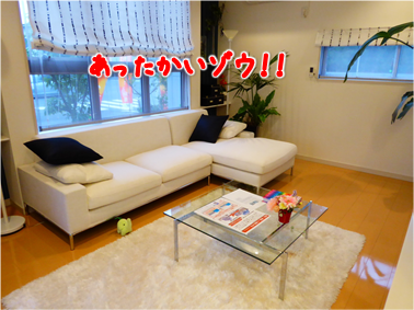 エコファント7
