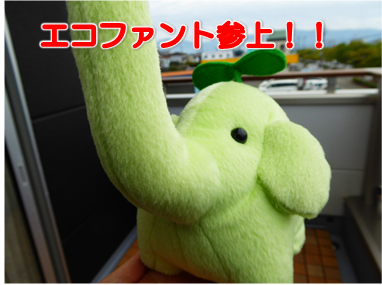 エコファント8