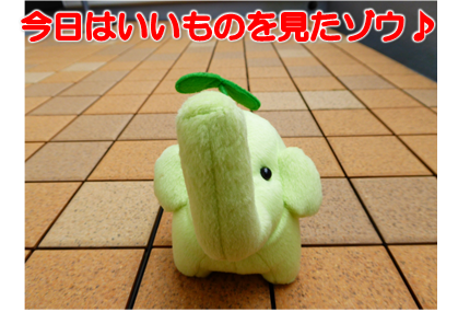 エコファント8