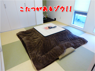 エコファント8