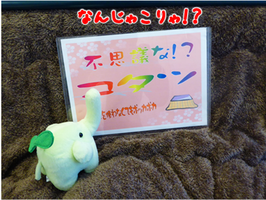 エコファント9