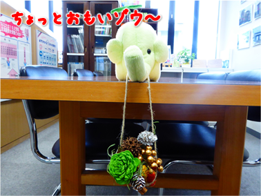 エコファント9
