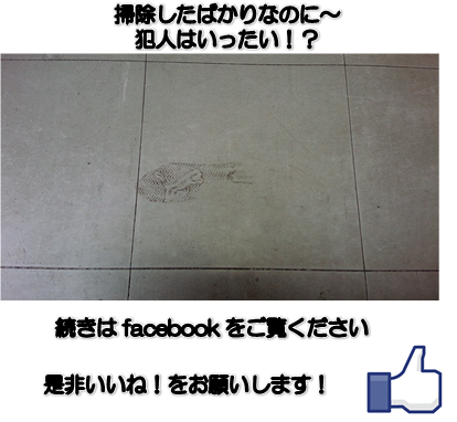 facebook2