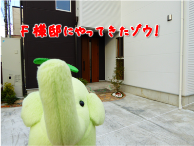 エコファント11