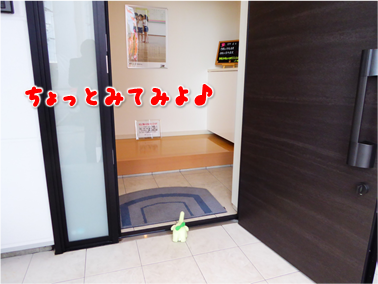 エコファント11