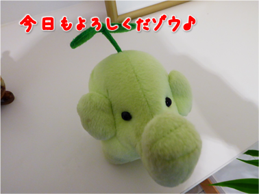 エコファント1