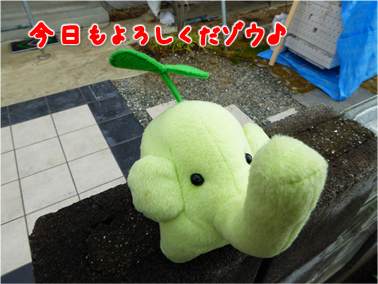 エコファント1