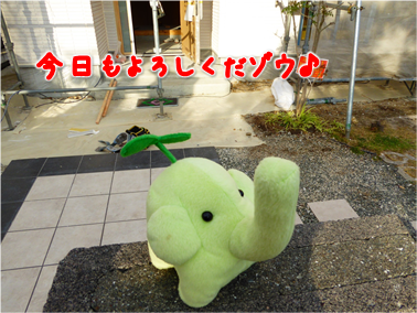 エコファント1