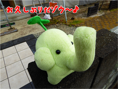 エコファント1