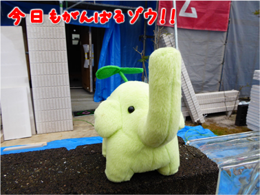 エコファント1