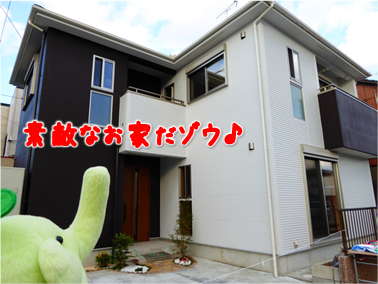 エコファント13