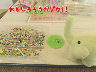 エコファント17