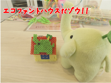 エコファント18