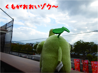 エコファント2