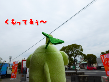 エコファント2