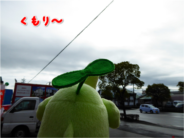 エコファント2
