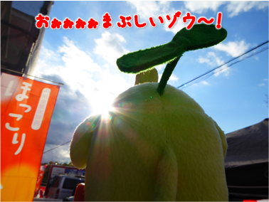 エコファント2
