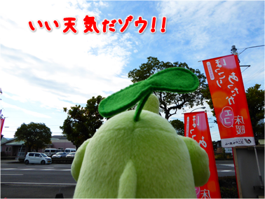 エコファント2