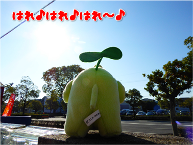エコファント2