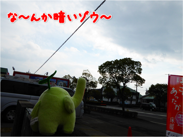 エコファント2