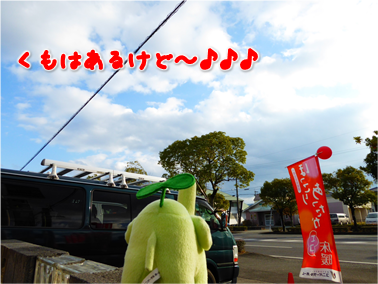 エコファント2