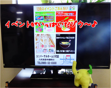エコファント4
