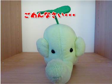 エコファント5