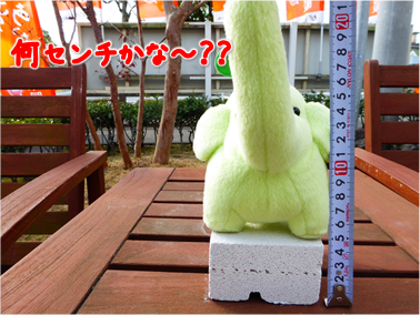 エコファント5