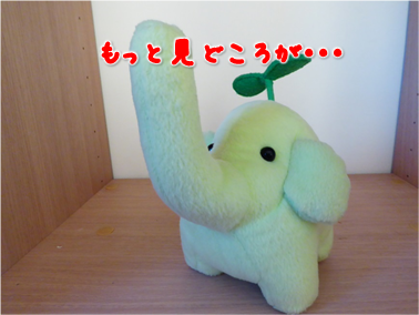 エコファント6