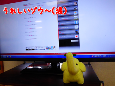 エコファント8