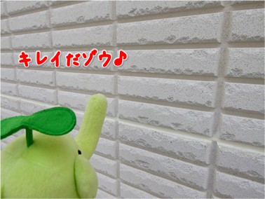 エコファント8