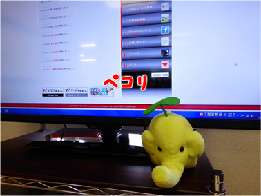 エコファント9