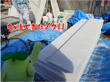エコファント9
