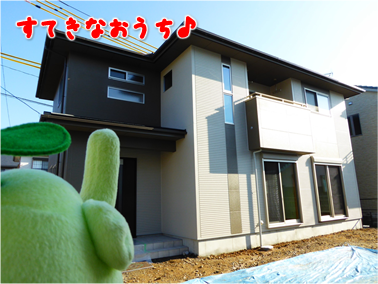 エコファント2