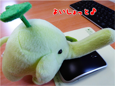 エコファント2