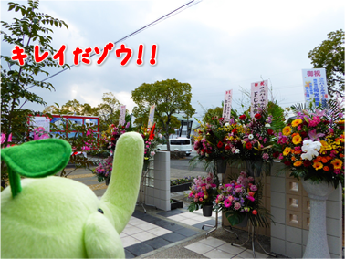 エコファント3