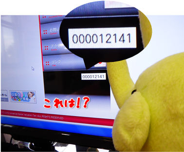 エコファント4