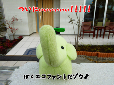 エコファント5