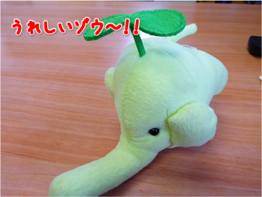 エコファント5