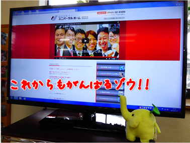 エコファント6